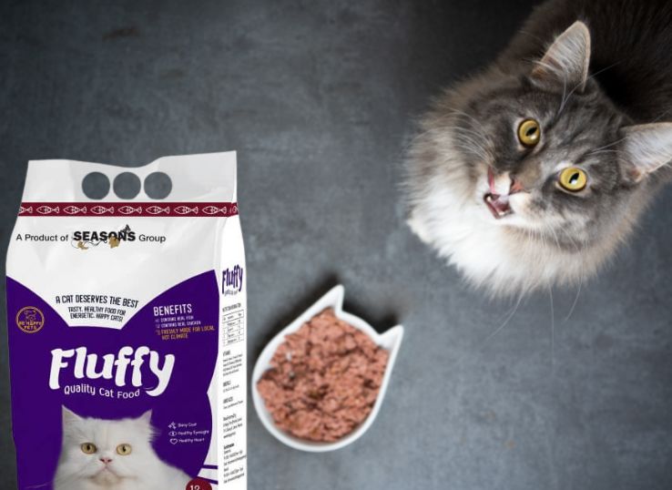 Fluffy Cat Food ( Complete Guide)