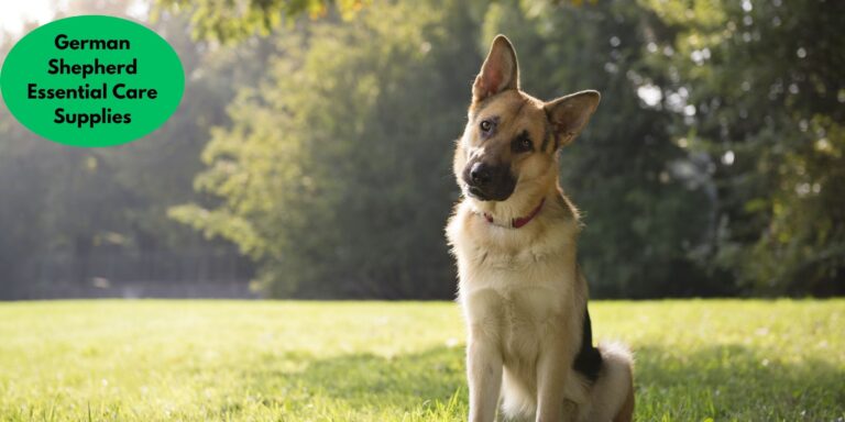 Vet Recommended Essential Care Supplies for German Shepherd